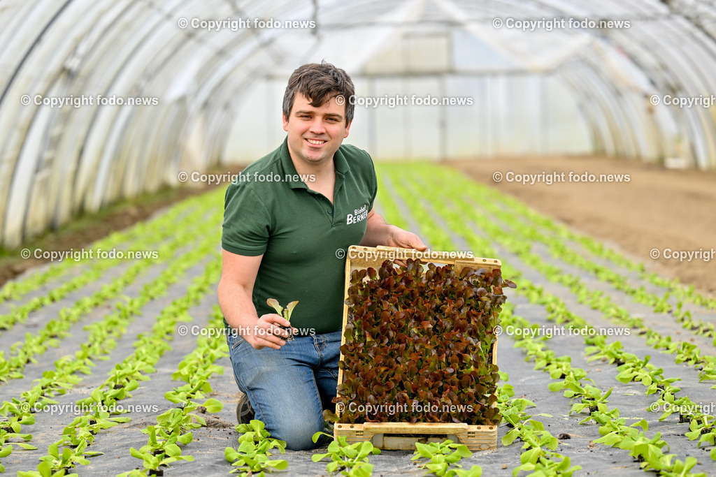 Biohof Berner_ Pupping_ 28.02.2023-21 | 28.02.2023, Pupping, AUT, Biohof Berner, im Bild André Berner (Biobauer) mit Eichenblatt (Salat)