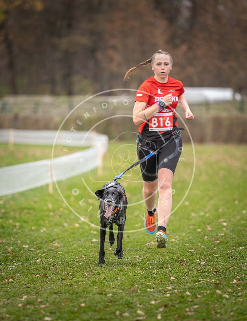 CaniXpix_DV3A6509 | Hundefotografie, Tierfotograf, Pfotenfotografie, Fotoshooting Hund, Hunde Portrait, Hundesport, Hundeportraits, Heideshooting, Hunde, Sportfotograf, Hundefotograf, Turnierhundsport, THS,  - Realisiert mit Pictrs.com