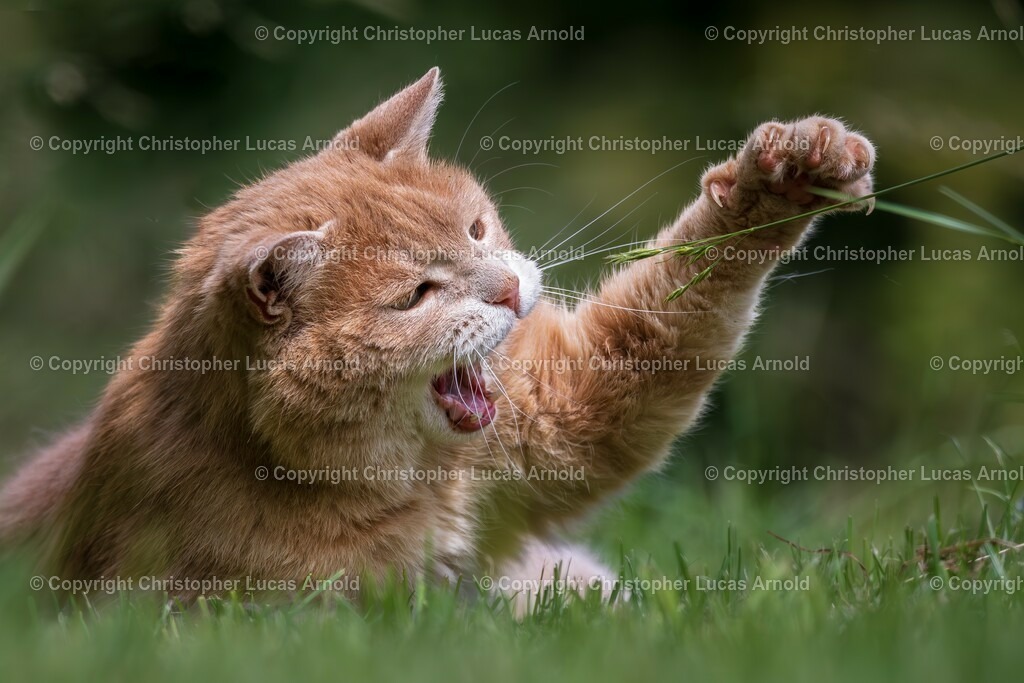 06 | bildkomponist - Realisiert mit Pictrs.com