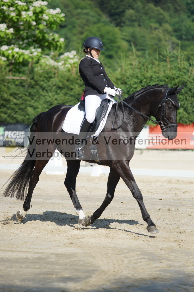 DSC04534 | equestrian-live-com