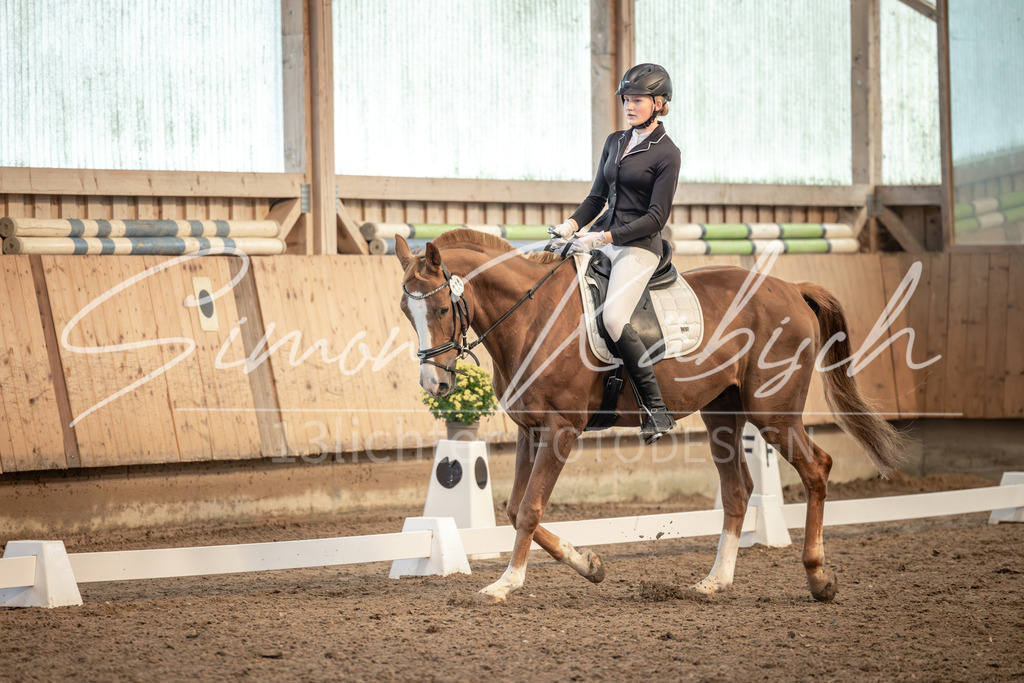 20251011-_3LI7030 | Tierfotografie Pferde, Hunde, Katzen, Haustiere.
Turnierfotografie Reitturniere, Reiten, Springreiten, Dressur in Hanau, dem Main-Kinzig-Kreis und dem Rhein-Main- Gebiet um Frankfurt