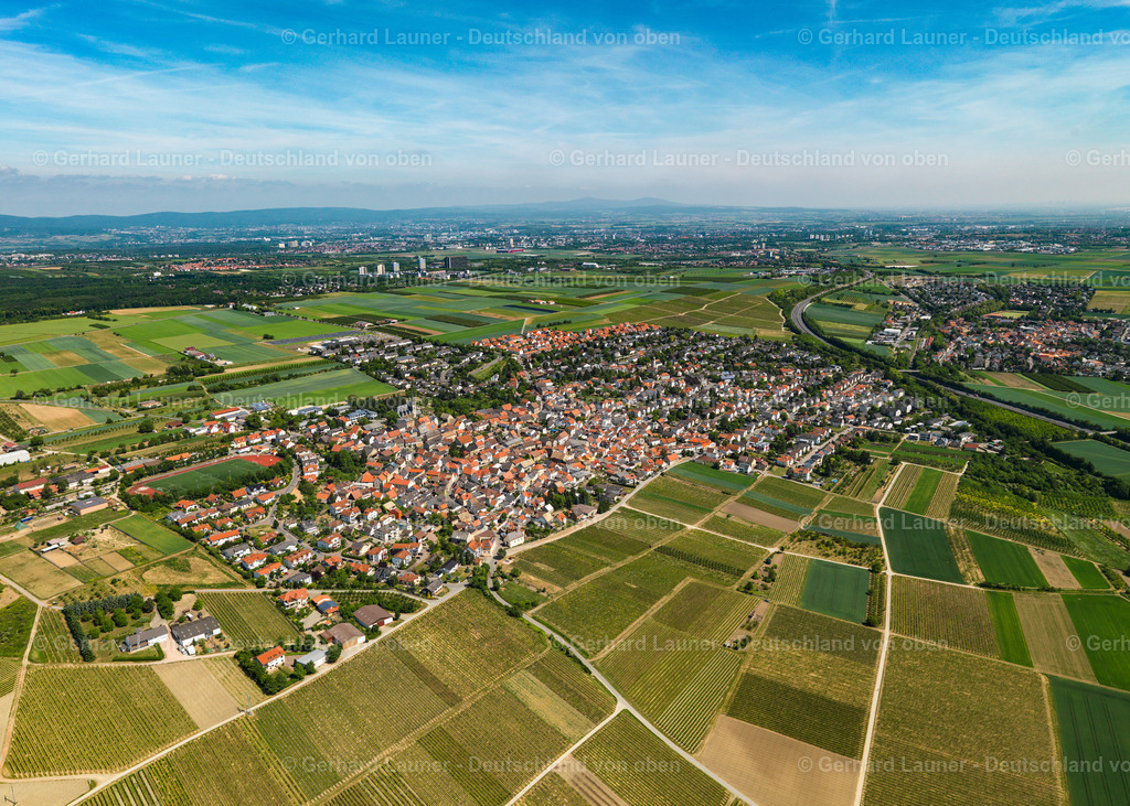 3134145-Ober-Olm-2 | Ober-Olm