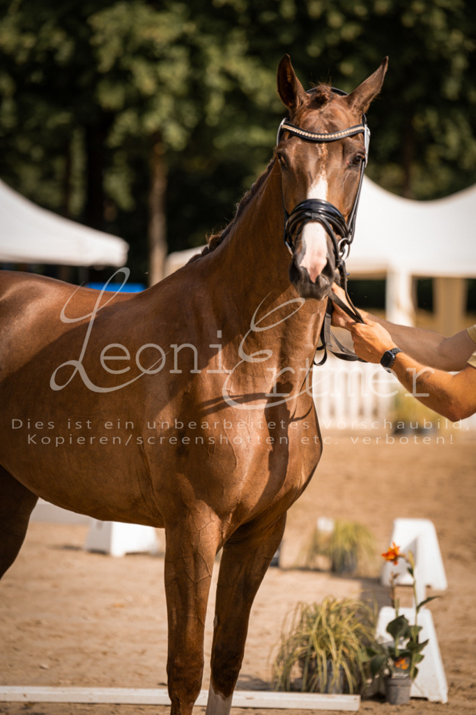 FrER00140 | Leoni Ertmer Photography - Realisiert mit Pictrs.com