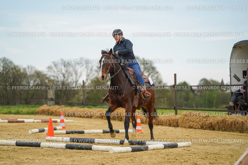 DSC02842 | Pferdegrafie