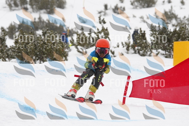 I2175 | holidayphoto