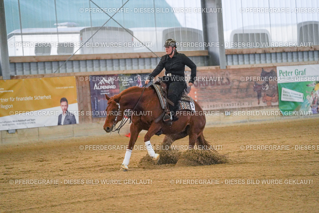 DSC09314 | Pferdegrafie