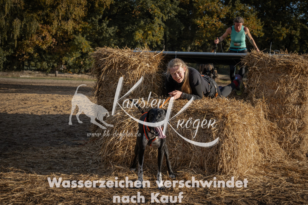 0955_ZZ95454 | kk-dogfotos