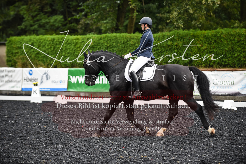 DSC_2877 | Pferde- und Turnierfotografie in Westsachsen. Pferdeportraits, Auftragszeichnungen und intuitive Kunst.