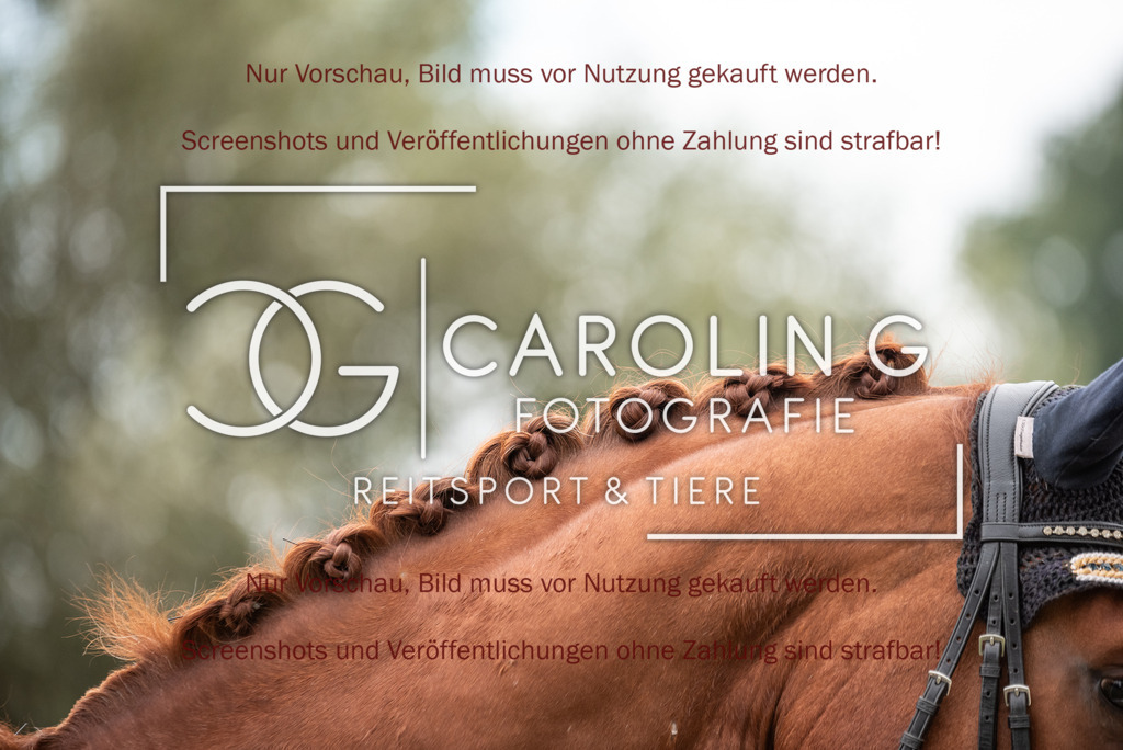 DSC_2931 | Turnierfotografin Carolin Gieschke, Turnierfotografie Carolin G Fotografie, Turnierfotos Kirchheim/Teck, Esslingen, Stuttgart, Bodenseekreis
