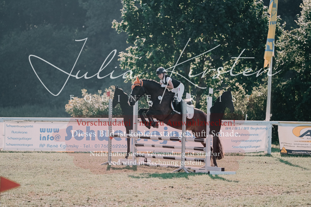DSC_4465 | Pferde- und Turnierfotografie in Westsachsen. Pferdeportraits, Auftragszeichnungen und intuitive Kunst.