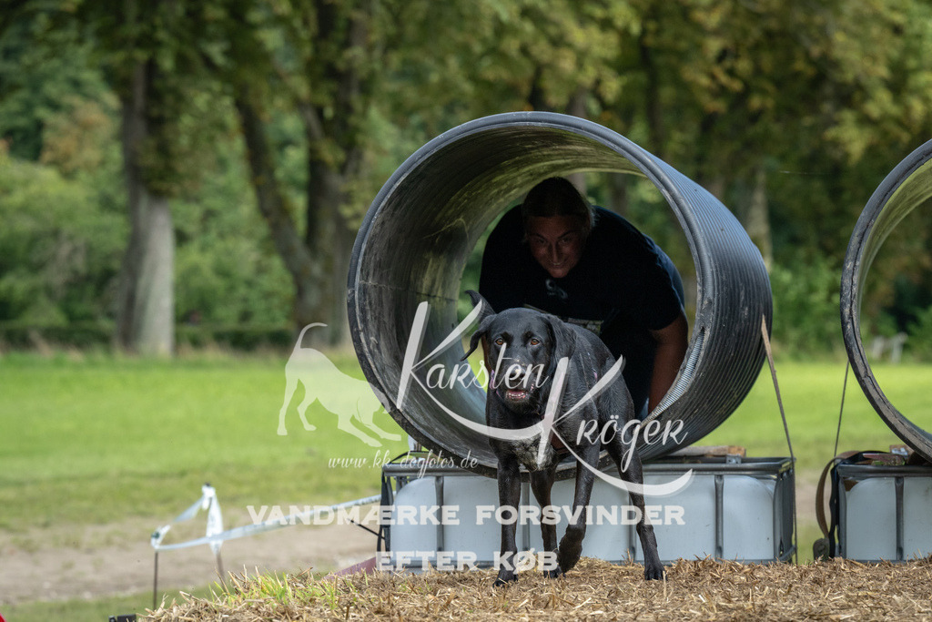 1327_ZZ93217 | kk-dogfotos