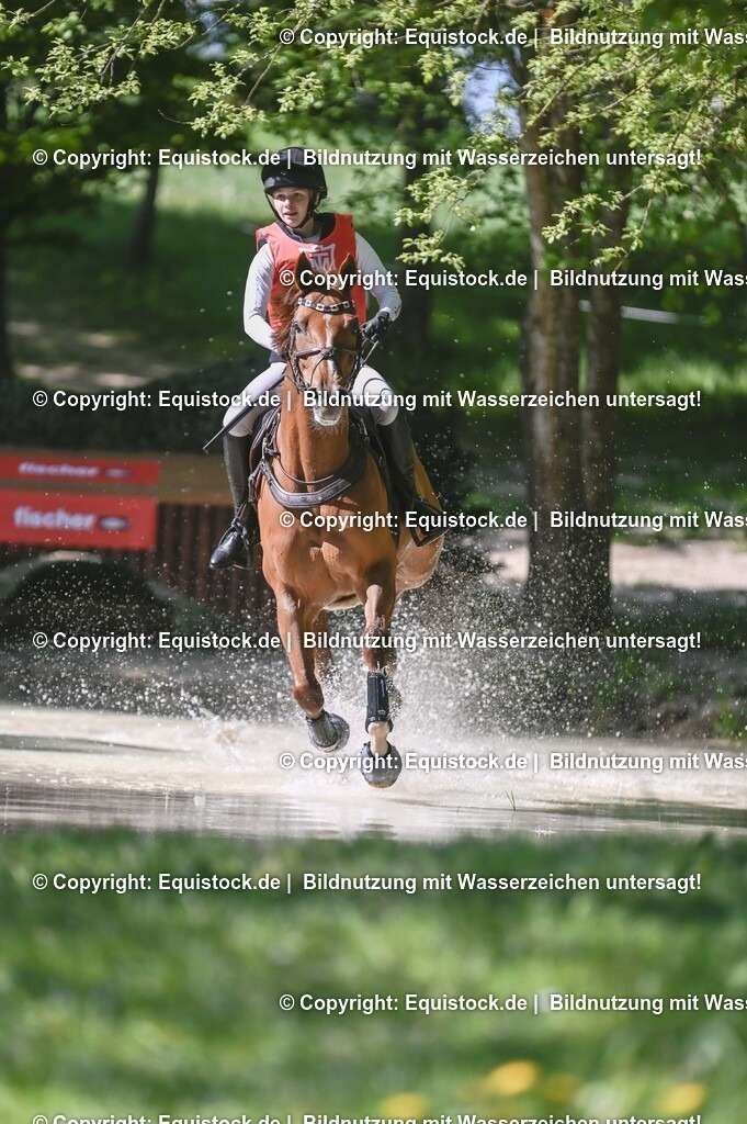 20250517_CCI2_Gelände_0779 | Foto: Thomas Hartig