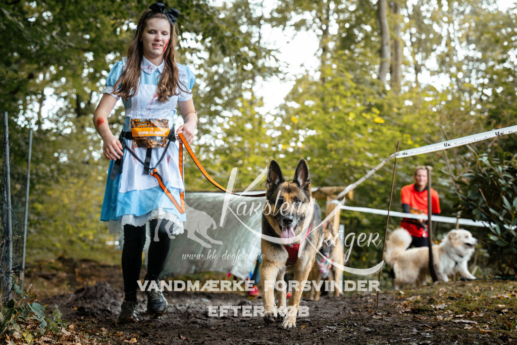 1431DZ6_2681Z6 | kk-dogfotos
