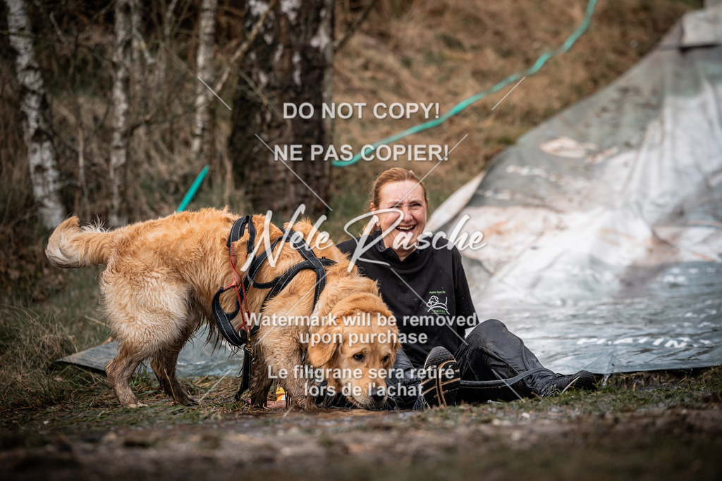 nelerasche_1330-1400_144 | nelerasche