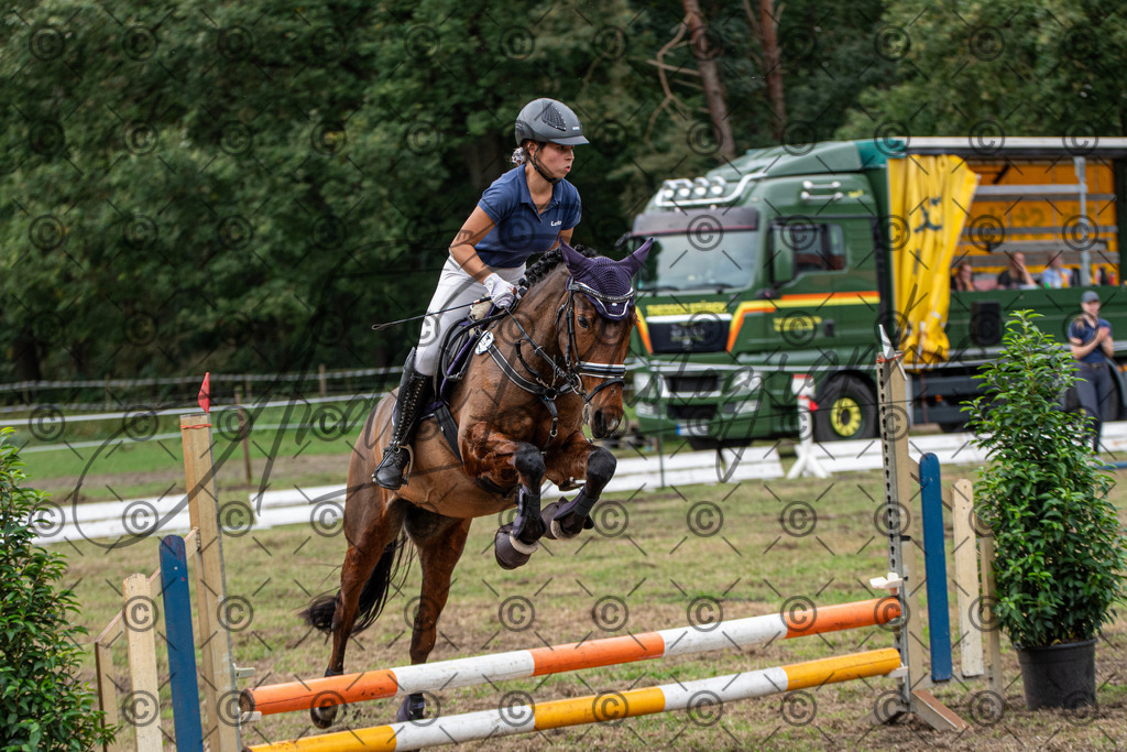 SHT_7710 | andre_photographic