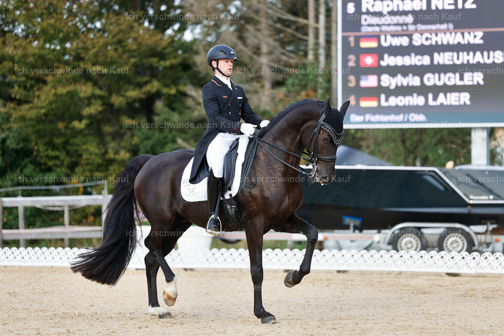 13-229-S___ -StoibPH-6985 | working equitationturnier fotograf videograf stoibphotography marixx film working equitation deutschland reitsport turnierfotografie eventfotografie equestrian events