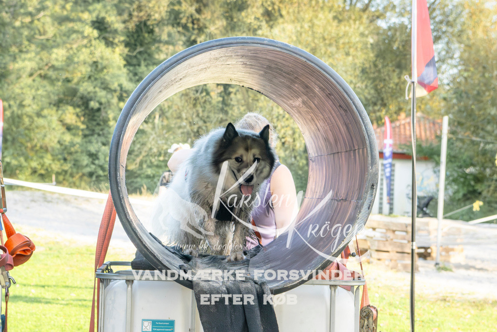 1643_ZZ98871 | kk-dogfotos