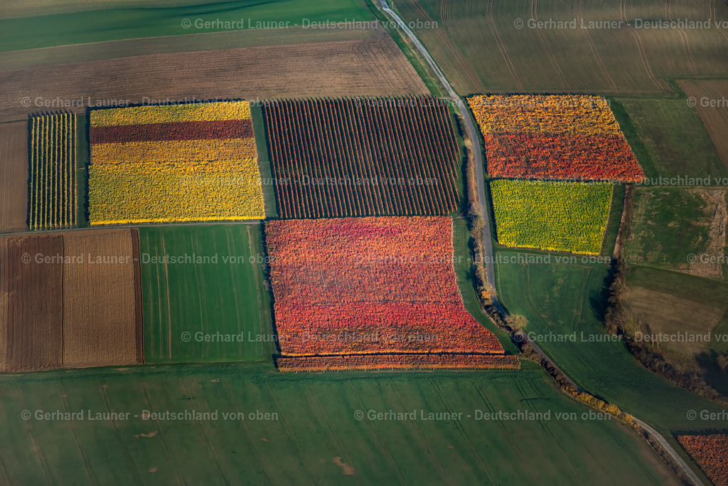 4042422 | Weinbergslandschaft an der Mainschleife bei Escherndorf und Nordheim
