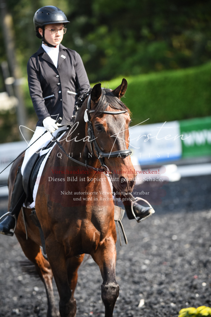 DSC_3283 | Pferde- und Turnierfotografie in Westsachsen. Pferdeportraits, Auftragszeichnungen und intuitive Kunst.