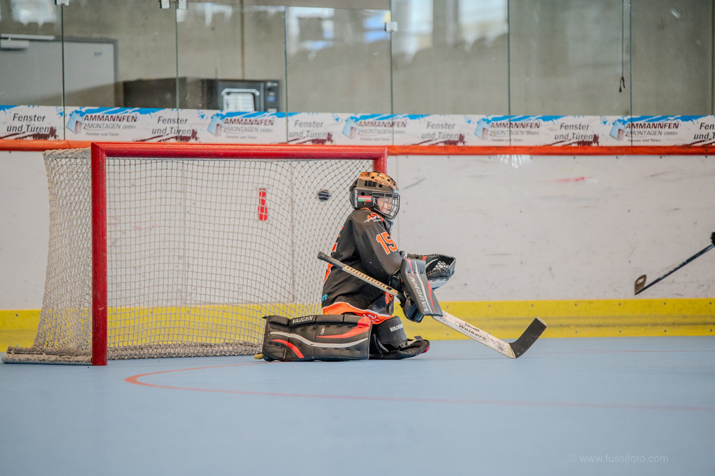 DSC_6377 | "Fussifoto.com – Ihr Ansprechpartner für hochwertige Fotografie! Entdecken Sie kreative Bilder und professionelle Dienstleistungen. Kontaktieren Sie uns für Ihre Projekte!"