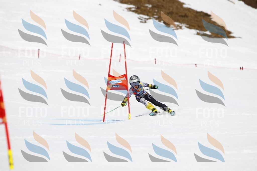 _U3G6470 | holidayphoto