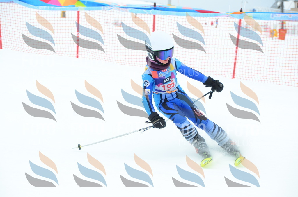 DSC_1797 | holidayphoto