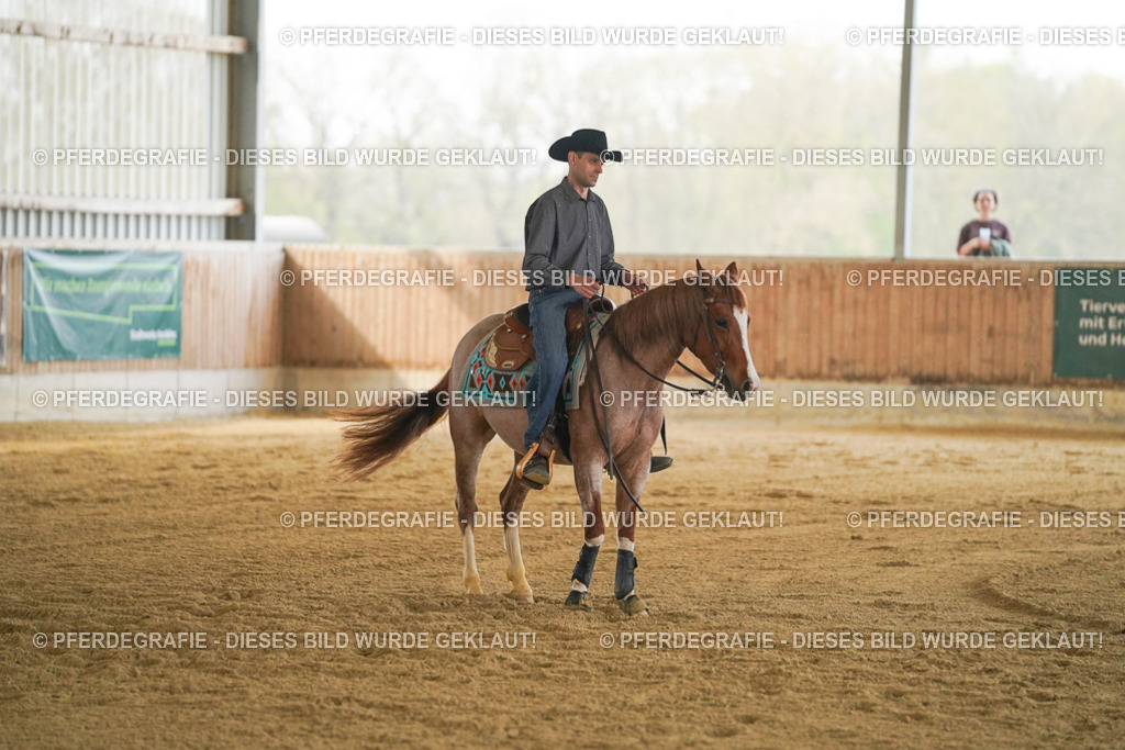 DSC08194 | Pferdegrafie