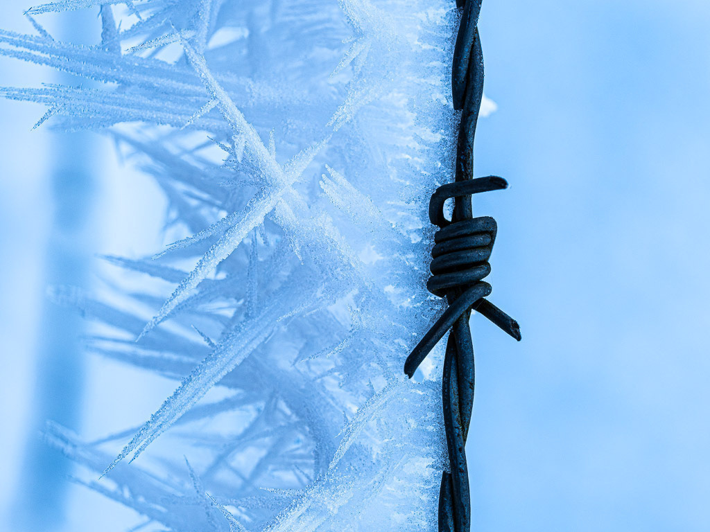 PC314182-Verbessert-RR | Carismarkus, Fotografie, Lost Places, Urbex, Stilvoll, Akt, Nude, Fine Arts, Adventure, Beauty in decay - Realisiert mit Pictrs.com