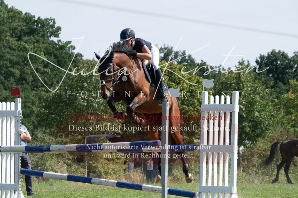 DSC_0788 | Pferde- und Turnierfotografie in Westsachsen. Pferdeportraits, Auftragszeichnungen und intuitive Kunst.