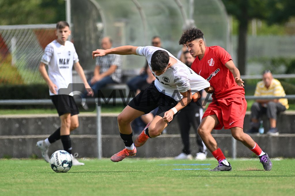 MW9_7011 | MWMARA - Realisiert mit Pictrs.com