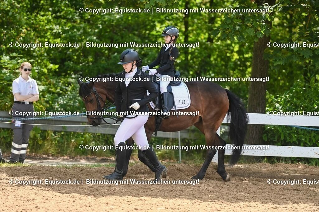 20230716_11_Führzügel-WB_0018 | equistock