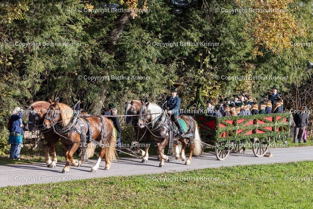 LBT24-151 | foto-bettina-krinner - Realisiert mit Pictrs.com