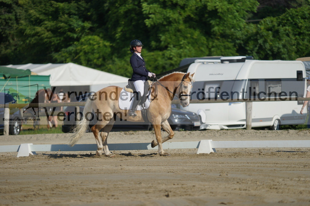 DSC04127 | equestrian-live-com