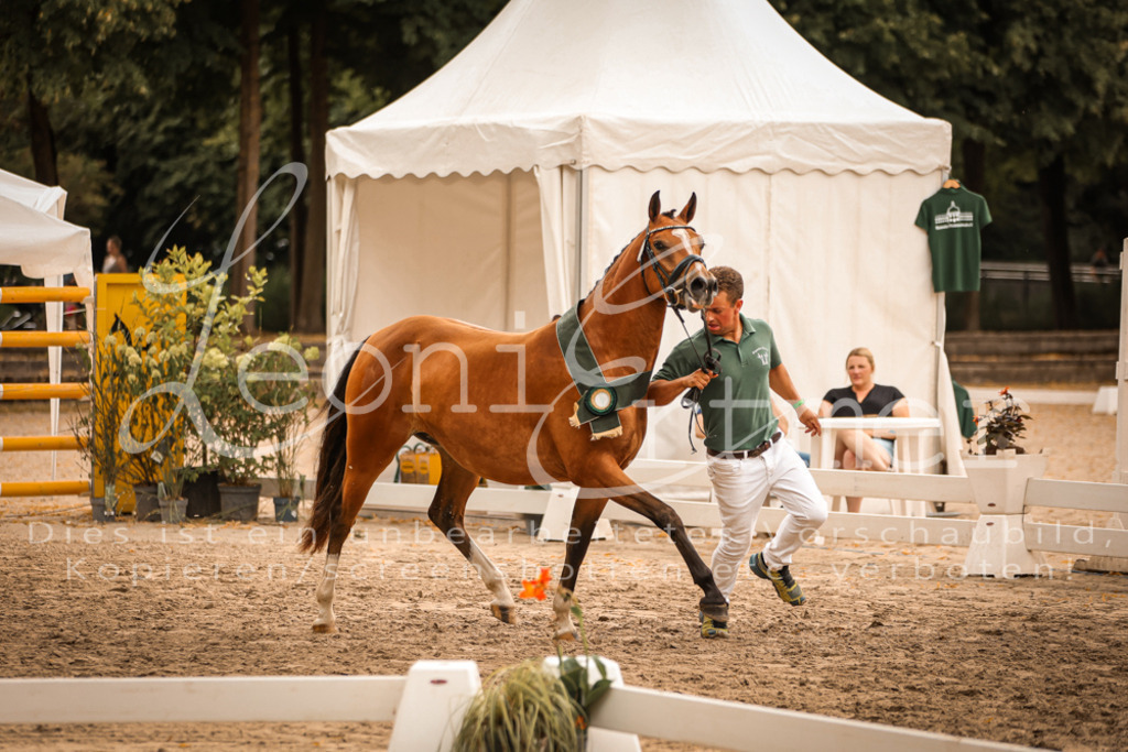 08.So00053 | Leoni Ertmer Photography - Realisiert mit Pictrs.com