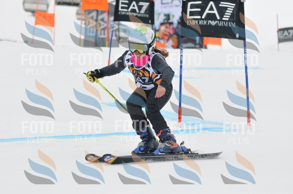 DSC_7454 | holidayphoto