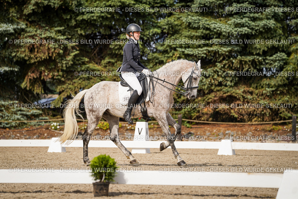 DSC07030 | Pferdegrafie