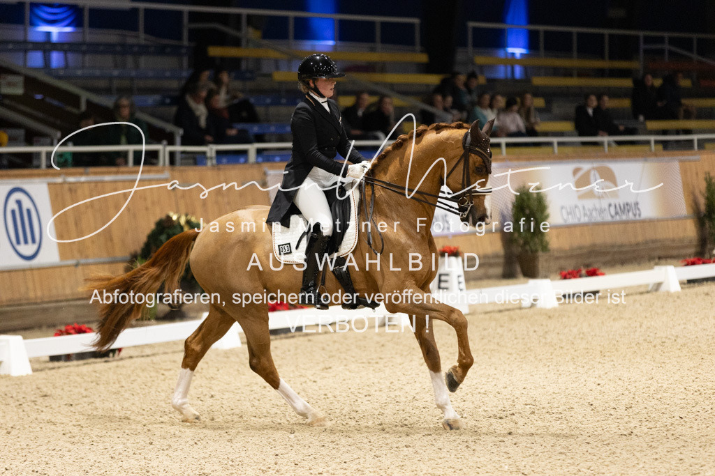 126A8647 | jasminmetznerfotografie