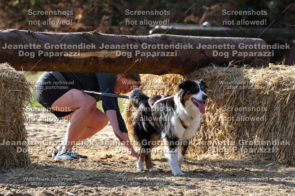 Dog Paparazzi - Strongdog 10-25-6006 | Dog Paparazzi Jeanette Grottendiek Fotografie & Videografie - Realisiert mit Pictrs.com