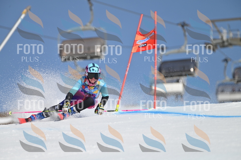 BGV_7843 | holidayphoto