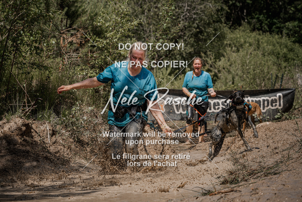 nelerasche_Hoope2026_Sa1300-1330_67 | nelerasche