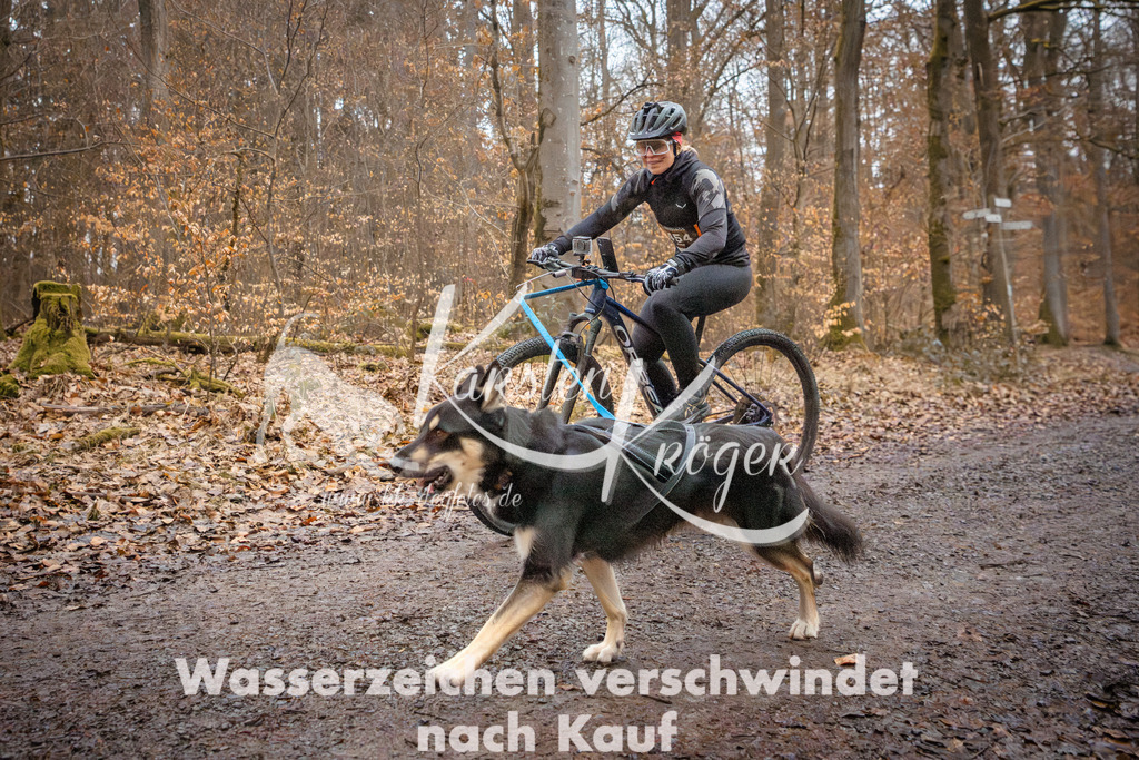 0816_ZZ94447 | kk-dogfotos