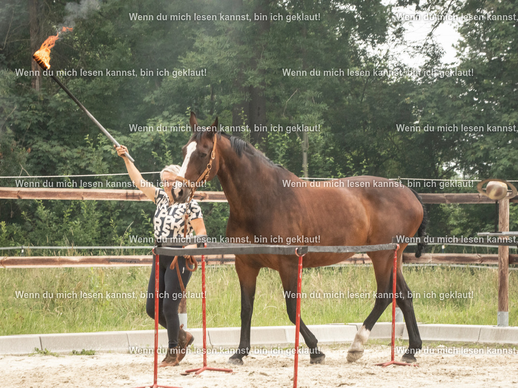 598A8024 | photographylinaismer - Realisiert mit Pictrs.com