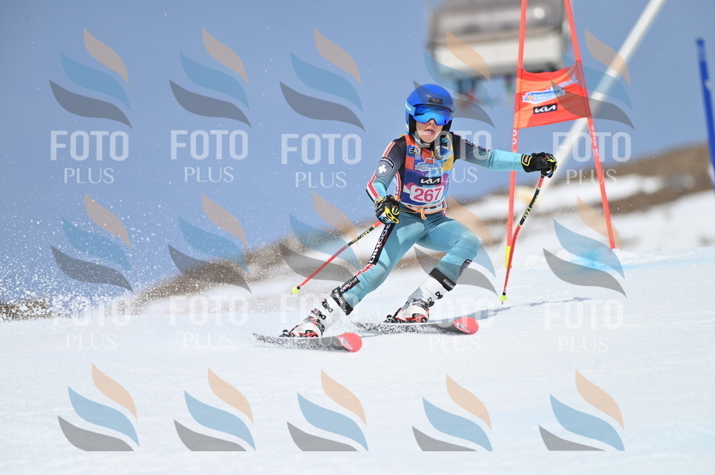 BGV_2211 | holidayphoto