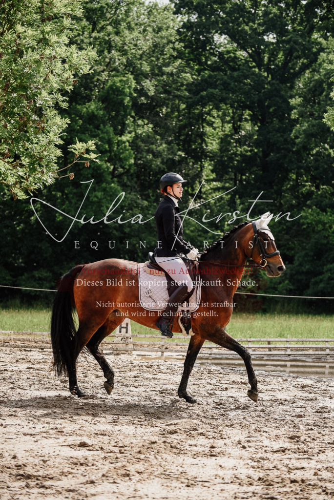 DSC_9828 | Pferde- und Turnierfotografie in Westsachsen. Pferdeportraits, Auftragszeichnungen und intuitive Kunst.