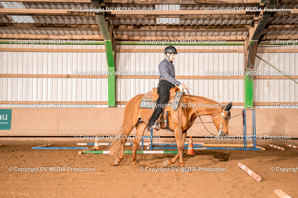 BA400018 | dv-media-shop - Realisiert mit Pictrs.com