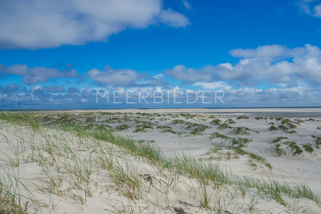 Amrum Dünen Landschaft | Gestalten Sie Ihr Zuhause mit einzigartigen Bildern von Ostsee u. Nordsee – als Leinwandbild, Acryl, Alu-Dibond oder FineArt Hahnemühle, individuell anpassbar.