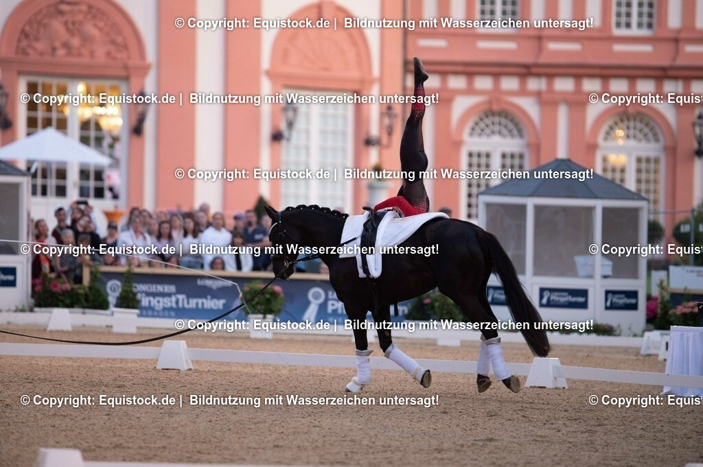 20230527_Voltigieren_NASPA_Flutlicht_0206 | equistock