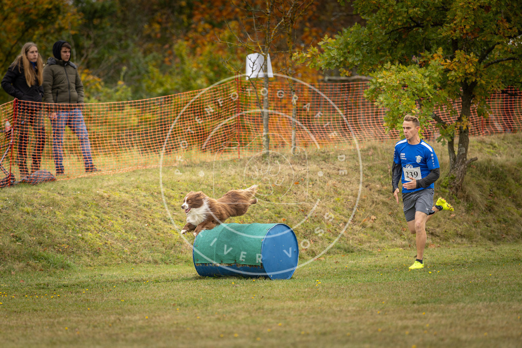 Pfotenfotografie_DV3A5818 | Hundefotografie, Tierfotograf, Pfotenfotografie, Fotoshooting Hund, Hunde Portrait, Hundesport, Hundeportraits, Heideshooting, Hunde, Sportfotograf, Hundefotograf, Turnierhundsport, THS,  - Realisiert mit Pictrs.com