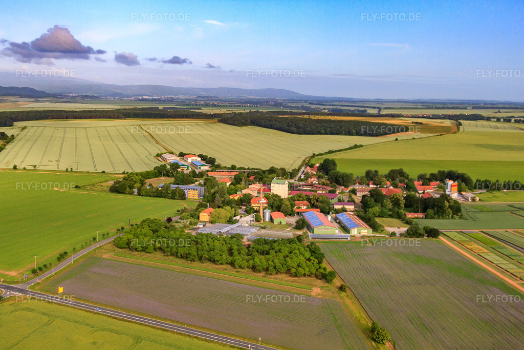 Luftbild: Dorfansicht von Osten mit Nordsaat Saatzucht GmbH im Ortsteil Böhnshausen in Halberstadt im Bundesland Sachsen-Anhalt in Deutschland. Foto: IMG_58365.jpg vom 30.06.2013 durch Werner Riehm/FLY-FOTO.deAuflösung des Originals: 4752 x 3168 pxNordsaat Saatzucht GmbH: Nordsaat