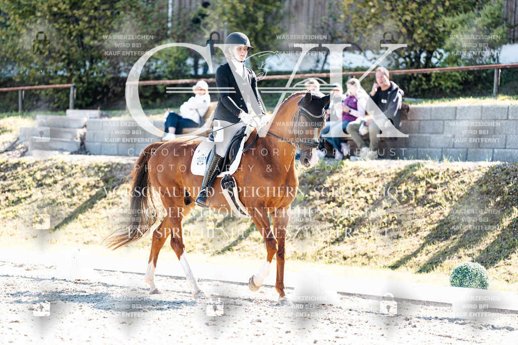 CK909186 | Turnierfotografie Pferdefotografie Trier Rheinland-Pfalz Pferdesport Reitsport Tierfotografie Sportfotografie Pferdevideo Pferdevideografie Equestrianvideography equestrianphotography  - Realisiert mit Pictrs.com